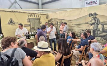 Unlocking Fuerteventura: Strategies for Business Growth and Innovation