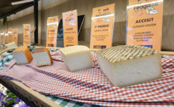 Unleashing Fuerteventura’s Potential: Future Trends in Business Growth