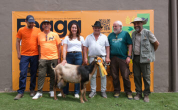 Unlocking Fuerteventura’s Potential: A New Era for Business Growth