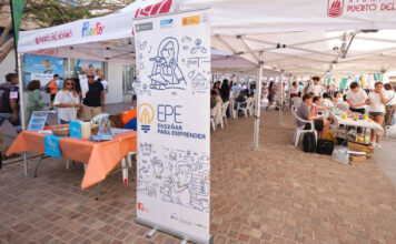 Unlocking Success: Fuerteventura’s Guide to Thriving Businesses