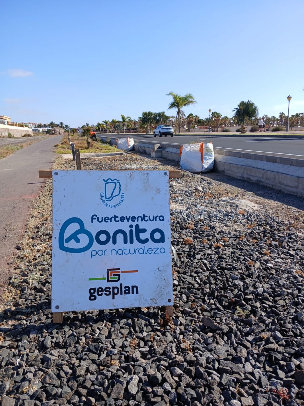 Unlocking Fuerteventura: Strategies for Thriving in Today’s Market