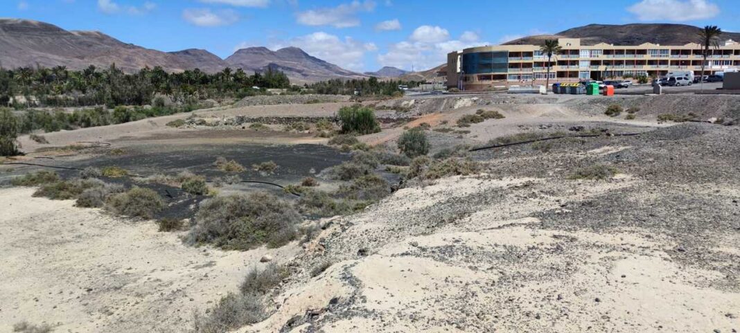 Unlocking Fuerteventura’s Potential: New Strategies for Business Growth Unlocking Fuerteventura’s Potential: New Strategies for Business Growth