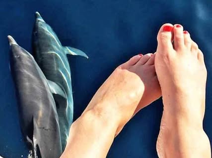 Swim with Majestic Whales and Dolphins in Caleta de Fuste Swim with Majestic Whales and Dolphins in Caleta de Fuste