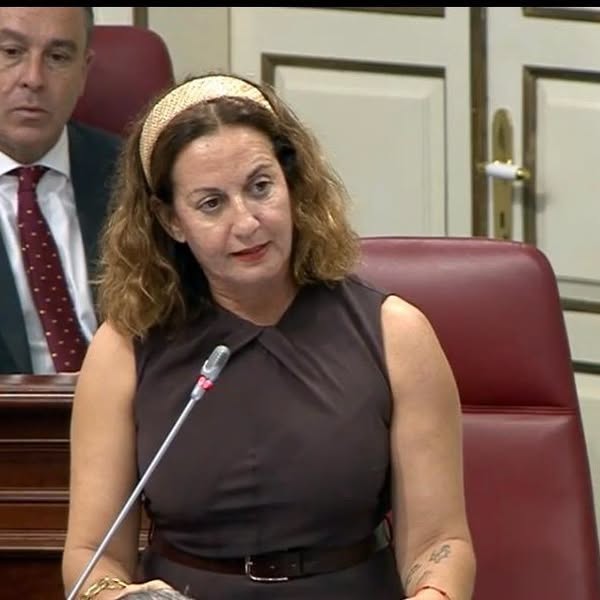 PP regrets reduction of funds for school climate control in Fuerteventura. PP regrets reduction of funds for school climate control in Fuerteventura.
