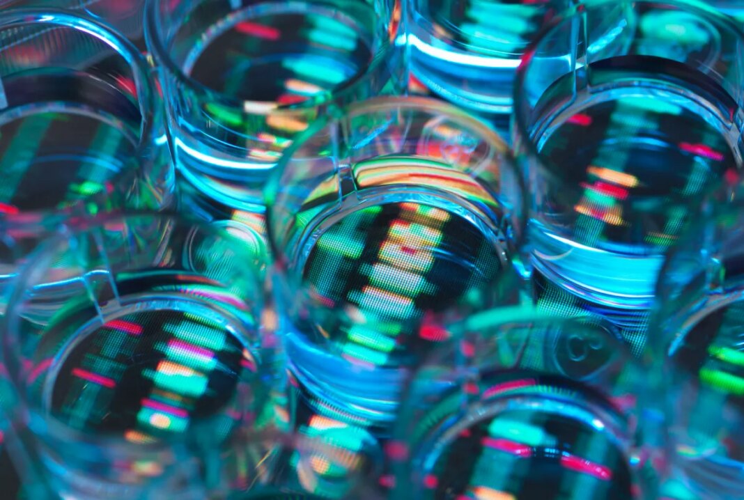Miles Wang From OpenAI Initiates Talks for AI-Driven Drug Discovery Startup Projected to Reach $2 Billion Valuation Miles Wang From OpenAI Initiates Talks for AI-Driven Drug Discovery Startup Projected to Reach $2 Billion Valuation