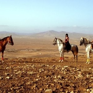 Explore Fuerteventura’s Stunning Trails on Horseback Adventure!