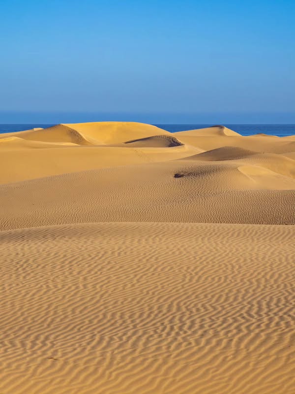 Transform Your Mondays: Discover Gran Canaria’s Island Charm Transform Your Mondays: Discover Gran Canaria’s Island Charm