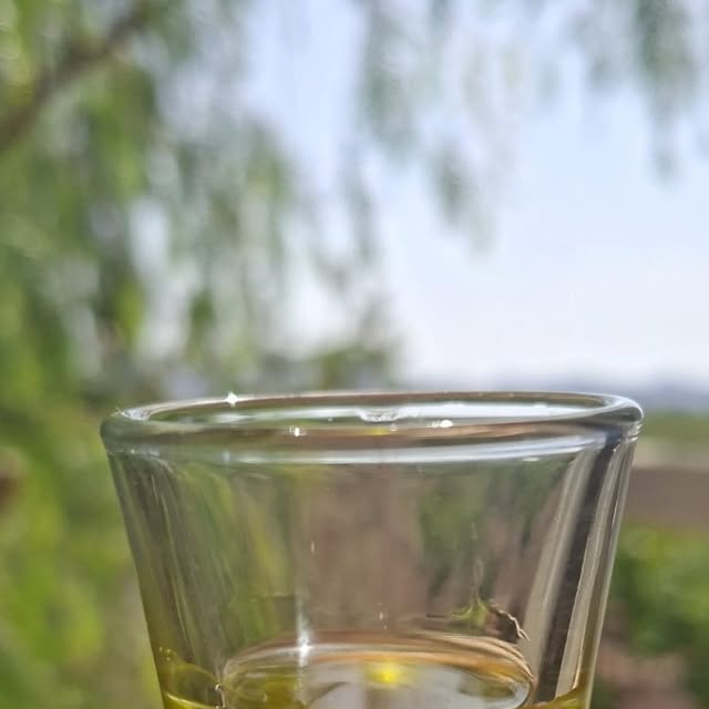 Discover the Latest in Olive Oil: Join Our Tapas Tour!