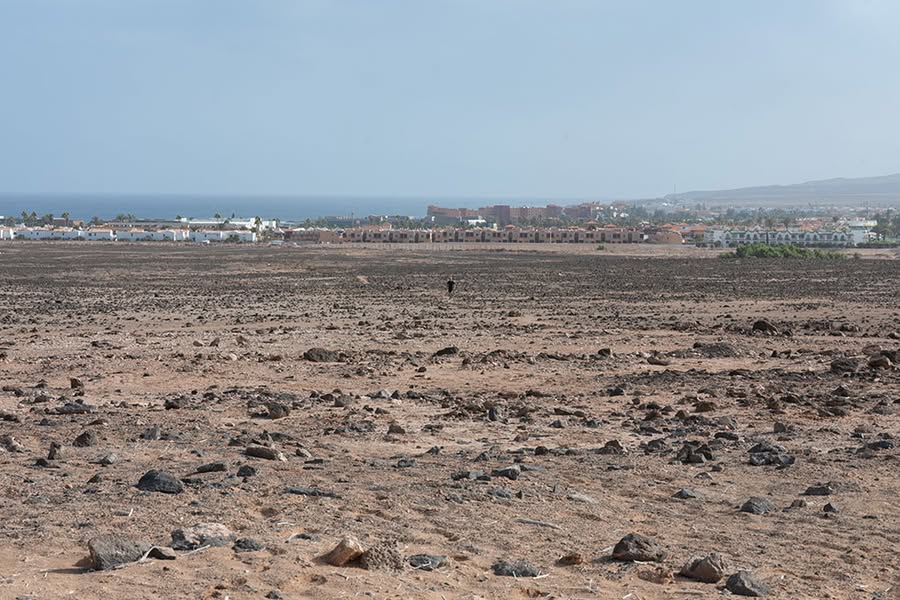 Aliseda sold 11 million square meters in Fuerteventura unregistered. Aliseda sold 11 million square meters in Fuerteventura unregistered.
