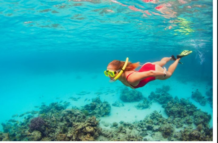 Dive into Fuerteventura’s Hidden Underwater Treasures! Dive into Fuerteventura’s Hidden Underwater Treasures!