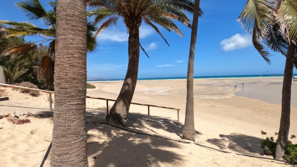 Unlocking Fuerteventura’s Potential: Strategies for Thriving Business Growth